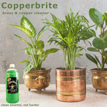 Load image into Gallery viewer, Copperbrite - Brass &amp; Copper Cleaner